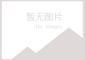 白山晓夏金属有限公司